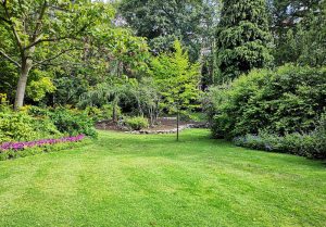 Optimiser l'expérience du jardin à Honfleur